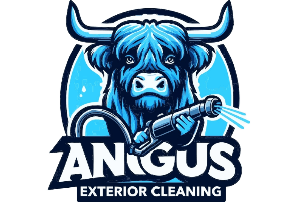 cleaning services cleaning services